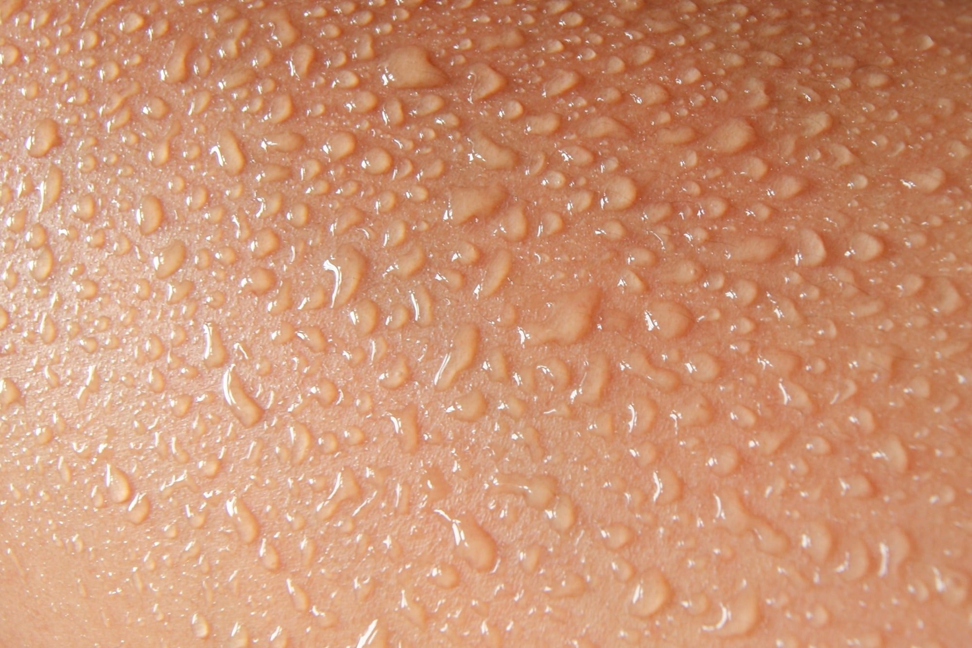 Why Do We Sweat: The Science Behind the Stink